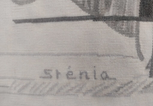 STÉNIA – Les fleurs sauvages | Galerie DOR – Image 3